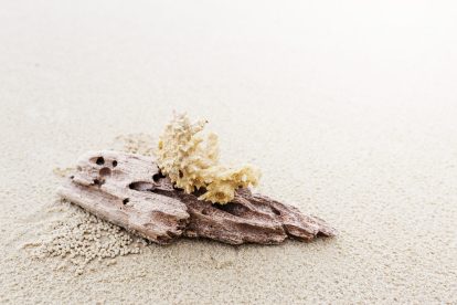 Das Bild zeigt ein kunstvoll geformtes Holzstück am Strand in seiner reinen Pracht und Form, das die Eleganz der angebotenen Behandlungen symbolisiert.